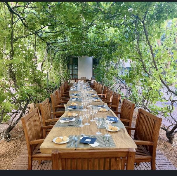 Dîner d'accueil sous les vignes lors de la convention Nuvia organisée par Force Rose à Tarragone